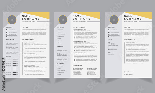 Resume Layout with Gray Sidebar Accents