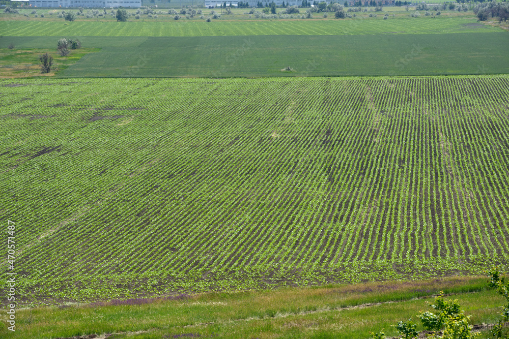 Landscape of rural fields are in spring sunlight, Dnepr, Ukraine.
