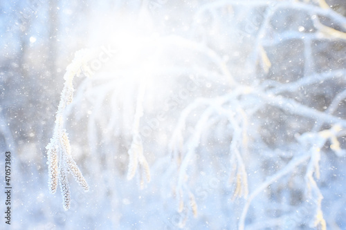 winter background snowfall trees abstract blurred white