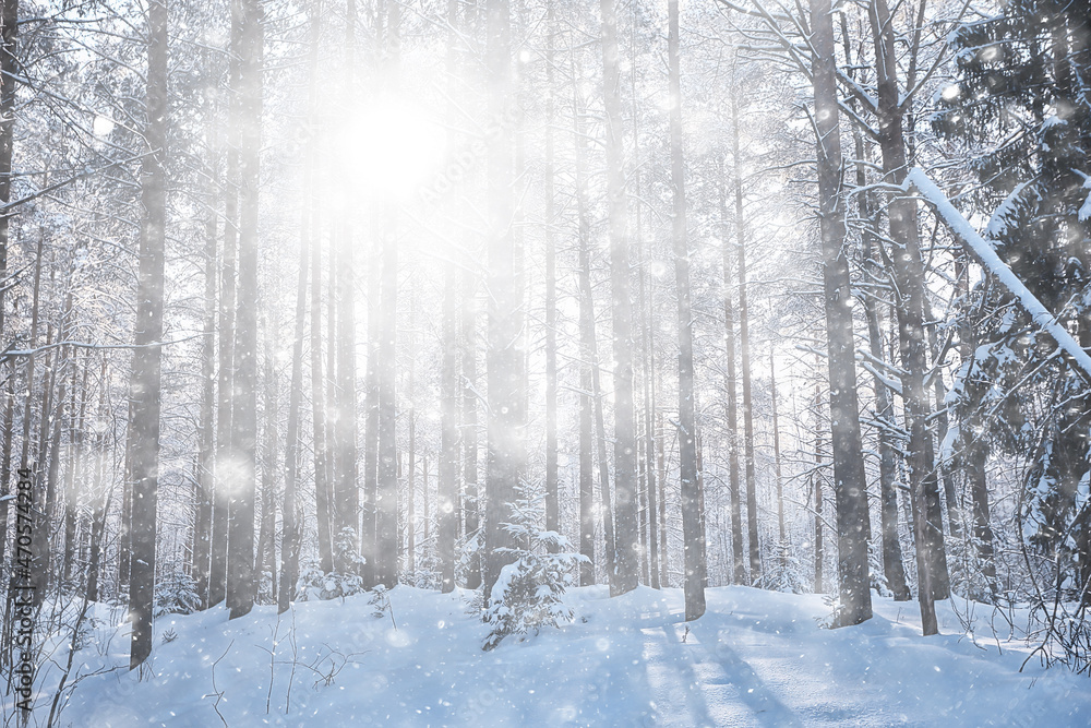 winter background snowfall trees abstract blurred white winter background snowfall trees abstract blurred white