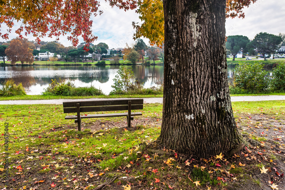 nice landscape with a bench in a park in autumn nice landscape with a bench in a park in autumn