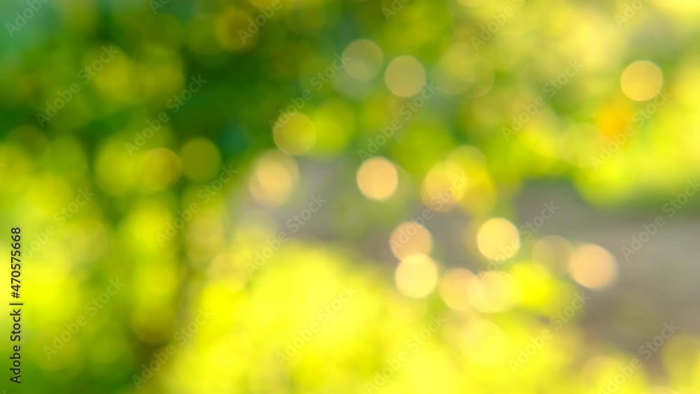 Nature abstract green and yellow gold bokeh blurred background,Sunlight shining to the leaves under the tree. Beautiful nature bokeh background of blurry sunset landscape and defocused round particles Nature abstract green and yellow gold bokeh blurred background,Sunlight shining to the leaves under the tree. Beautiful nature bokeh background of blurry sunset landscape and defocused round particles