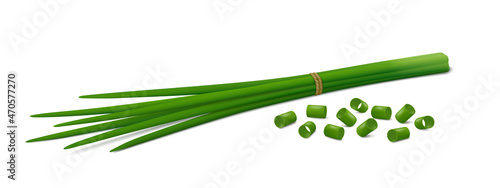 Lying down bunch of fresh chives with group of chopped green onions isolated on white background. Side view. Realistic vector illustration. photo