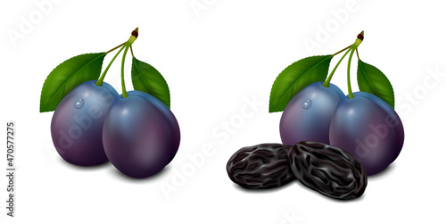 Two whole plums with leaves and prunes isolated on white background. Realistic vector illustration. Side view.