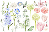 Watercolor set with different wild flowers  leaves.