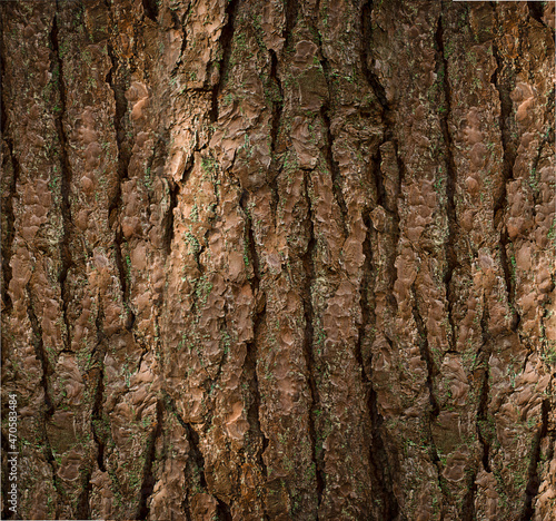 tree bark. natural background