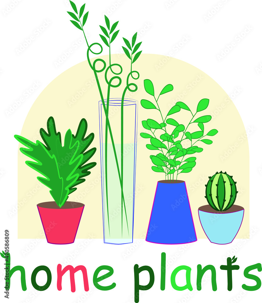 Fototapeta premium Home plants lettering. Plants in pots, cactus, bamboo. For printing on fabric, paper.