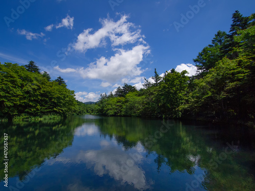 夏の雲場池　長野県軽井沢