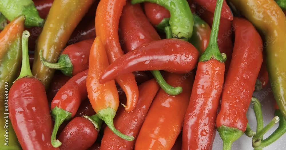 Vertical panorama of a heap of fresh, ripe hot peppers in drops of water. Vertical panorama of a heap of fresh, ripe hot peppers in drops of water.