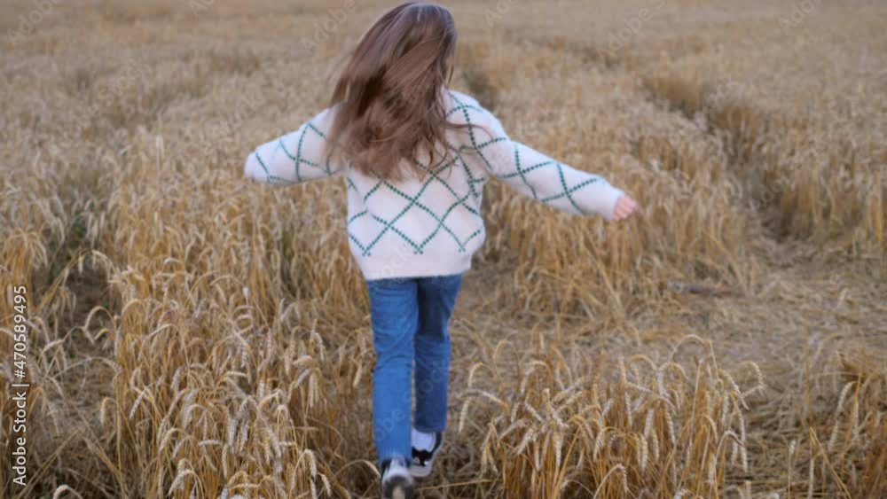 Girl runs along the field. Happy child in a field at sunset. The concept of childhood dreams, happy family. Dream of a child. Girl runs along the field. Happy child in a field at sunset. The concept of childhood dreams, happy family. Dream of a child.