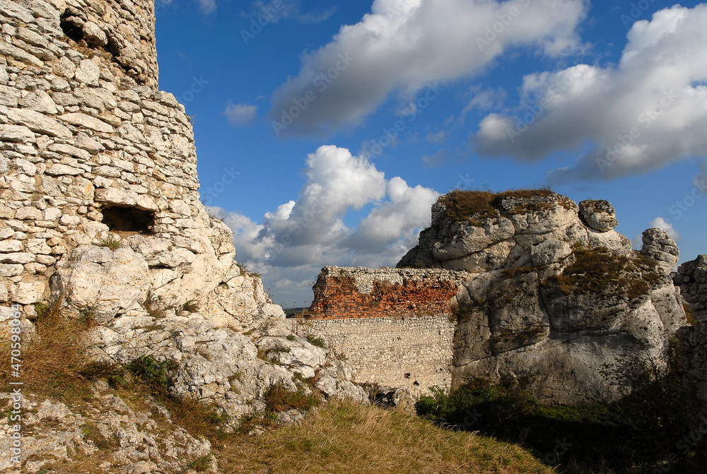 Stone castle ruins, Olsztyn, Jura Krakowsko-Częstochowska, Poland