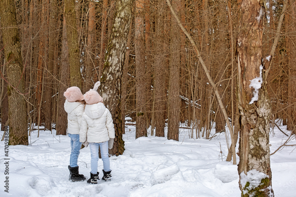 Two little  girls oserving the forest in winter time (no visible faces).