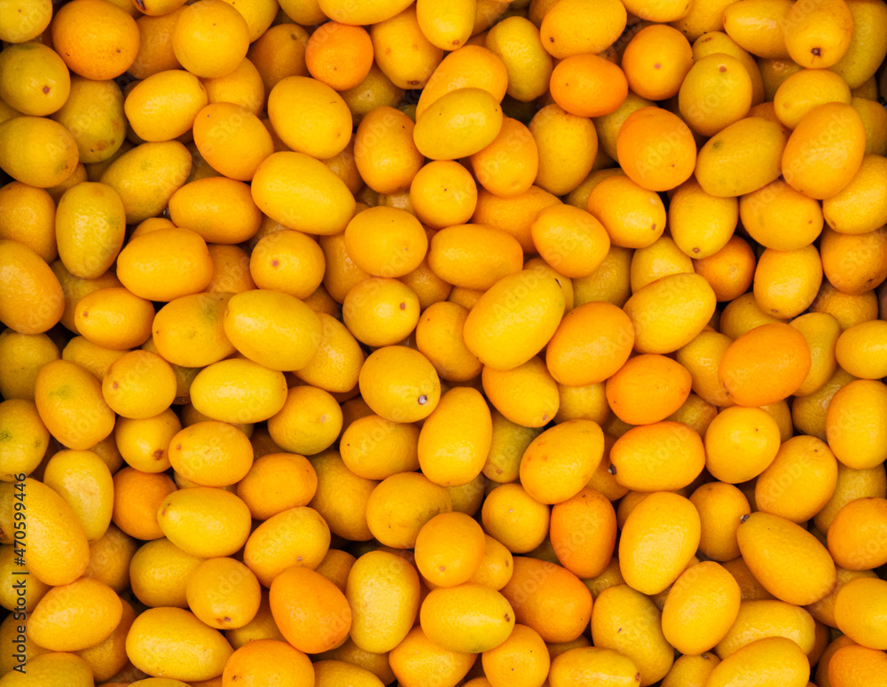 Texture of many small juicy orange fruits of kumquat ripe collected for sale in the market
