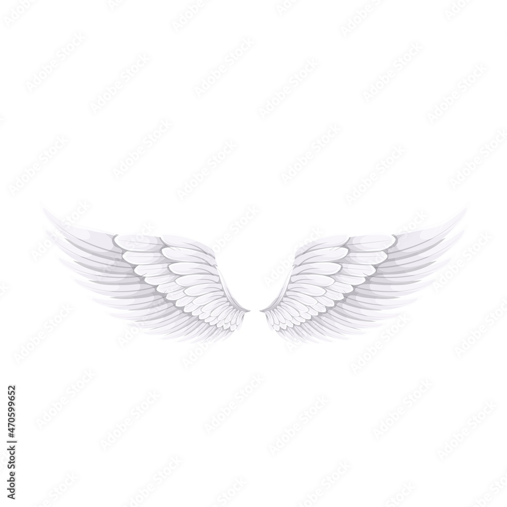 Fototapeta premium White wings of Angel or bird , vector illustration.