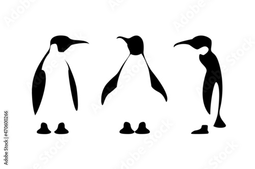 Set of isolated black contour of penguin on white background. Sea animal, bird. Group of silhouette of penguin flat design.