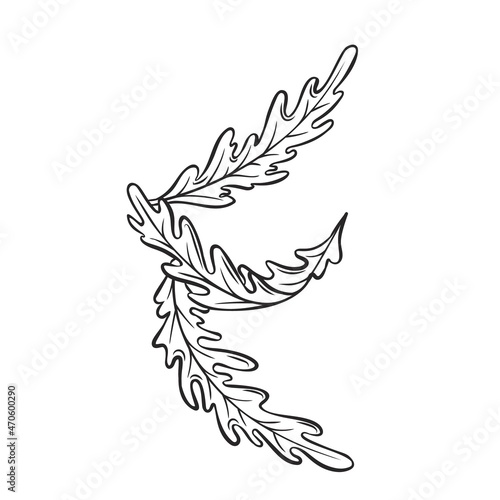 Outline arugula falling concept, levitating arugula, rocket, eruca, rucola vector illustration