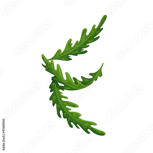 Arugula falling concept, levitating arugula, rocket, eruca, rucola vector illustration
