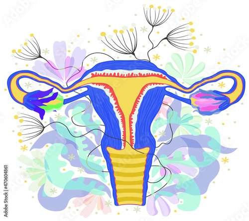 Woman reproductive system decorated with flowers. Female anatomy - uterus, ovaries, fallopian tubes.