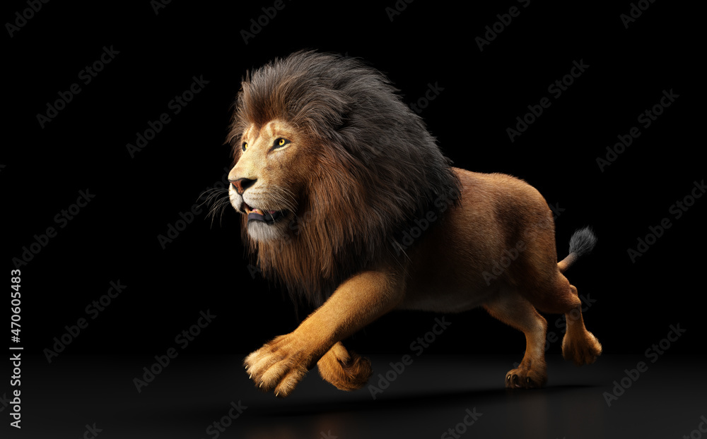 Obraz premium Lion running on black