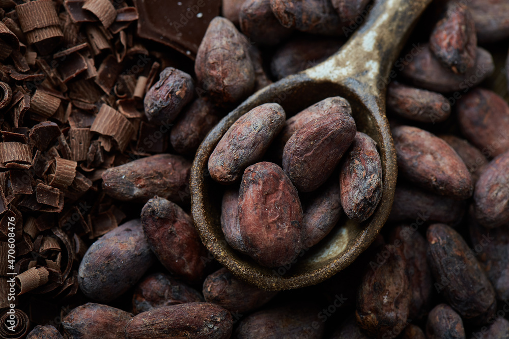 Cocoa beans on a background top view close up Cocoa beans on a background top view close up