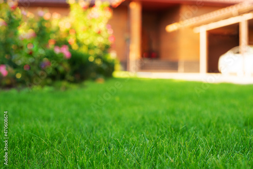 Mowed green frontyard grass before residential suburban house summer sunny day