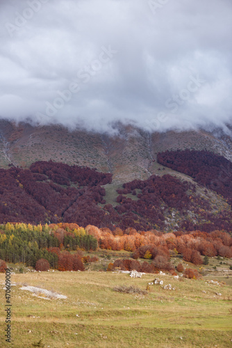 Obraz na płótnie Beautiful mountain landscape of the Abruzzo Lazio and Molise National Park in autumn w salonie