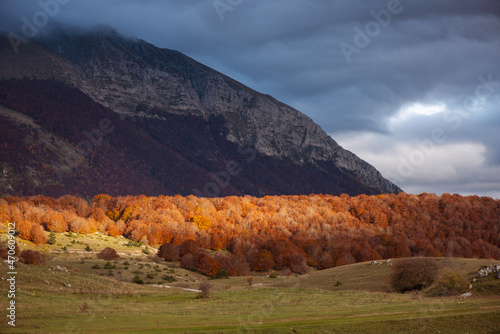 Obraz na płótnie Beautiful mountain landscape of the Abruzzo Lazio and Molise National Park in autumn w salonie