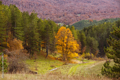 Obraz na płótnie Beautiful mountain landscape of the Abruzzo Lazio and Molise National Park in autumn w salonie