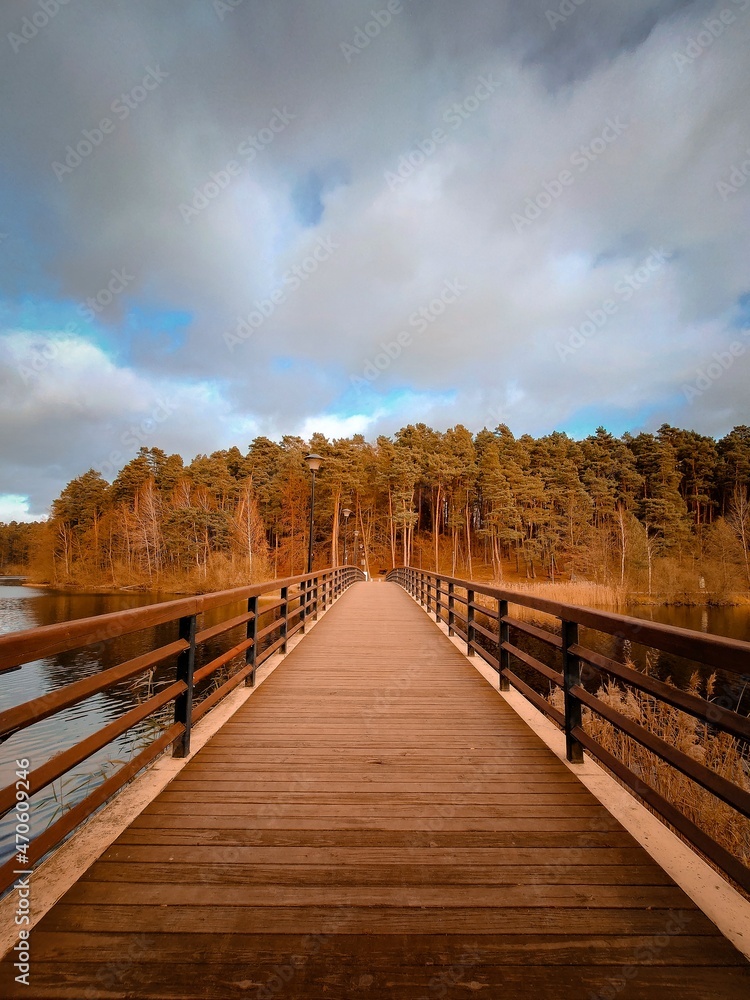 Obraz premium bridge over the lake