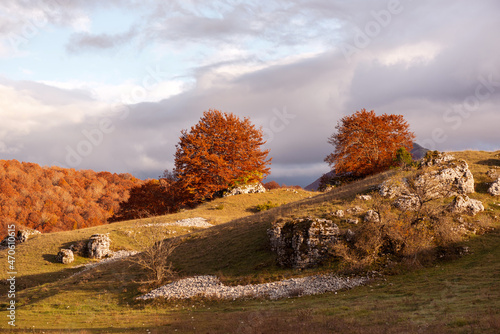 Obraz na płótnie Beautiful mountain landscape of the Abruzzo Lazio and Molise National Park in autumn w salonie