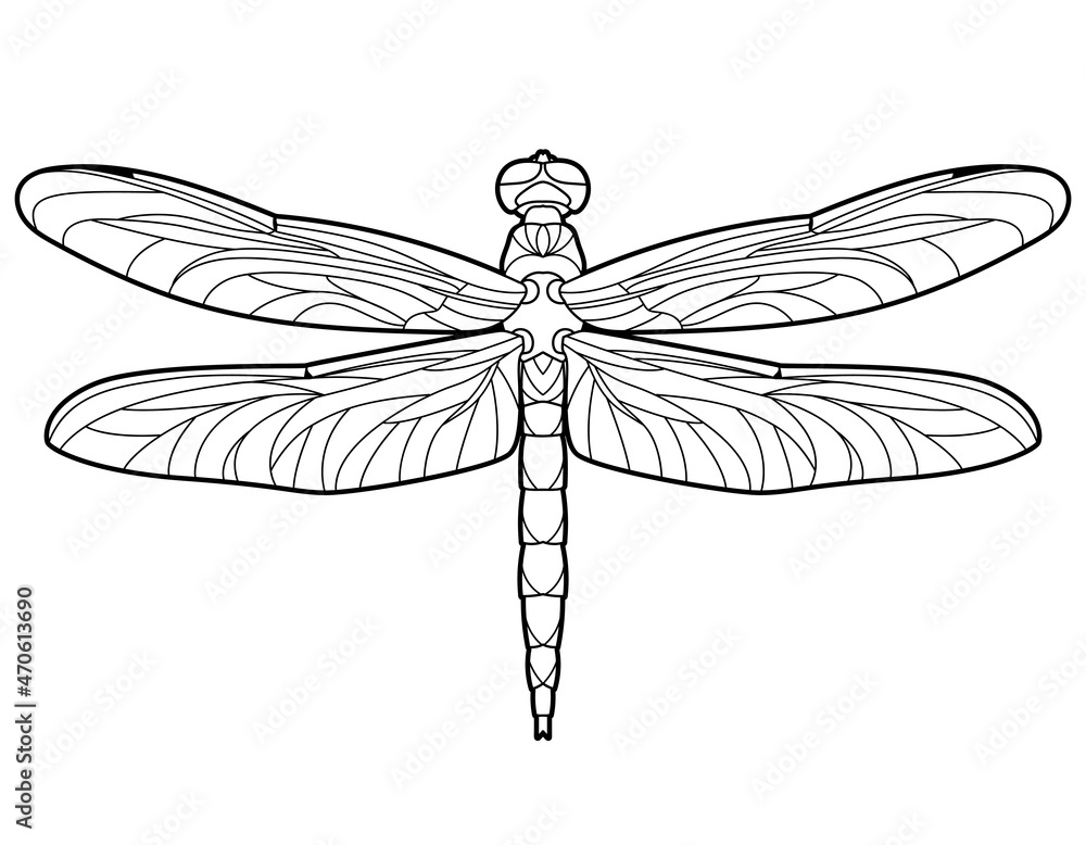 Dragonfly. Outline jpeg illustration for coloring book. Antistress for ...