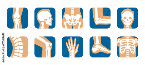 Collection human bones icon vector illustration. Set person skeleton skull joint, knee, leg, pelvis