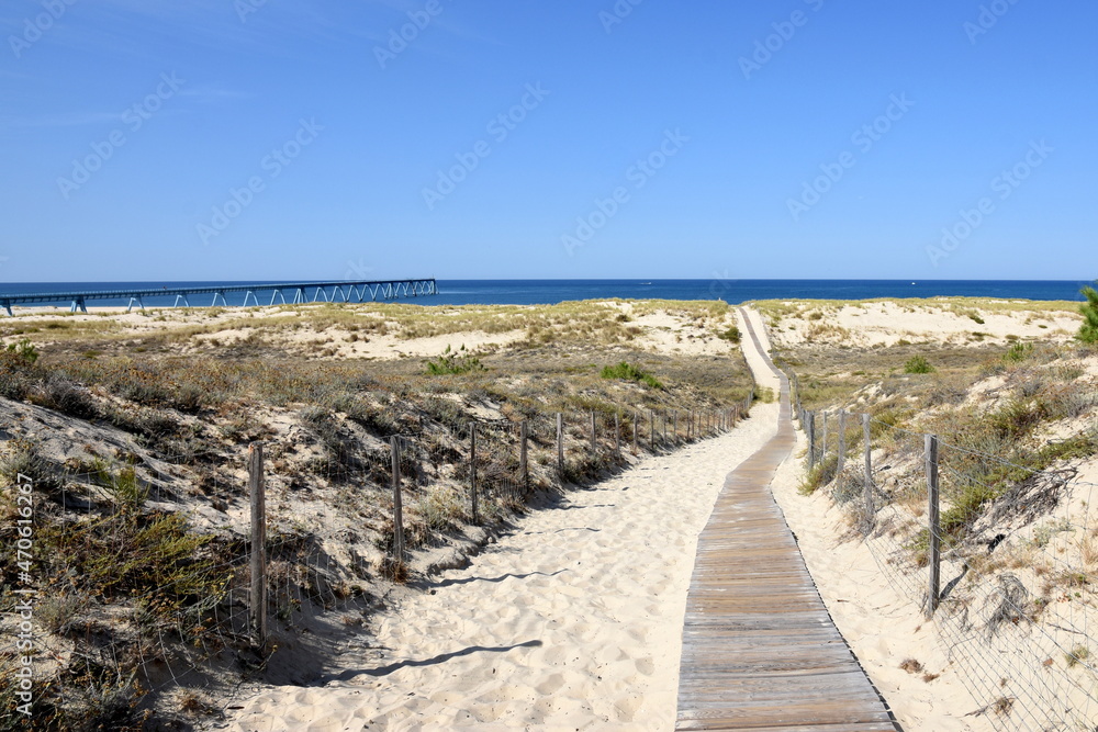 France, Aquitaine, côte atlantique, au sud du bassin d'Arcachon le chemin d'accès à la plage de la Salie sud à travers le cordon dunaire.