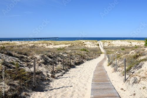 Cuadro en lienzo France, Aquitaine, côte atlantique, au sud du bassin d'Arcachon le chemin d'accès à la plage de la Salie sud à travers le cordon dunaire