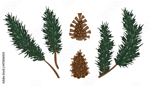 Set Pine Tree evergreen branches and cones Vector illustration clipart isolated on white background