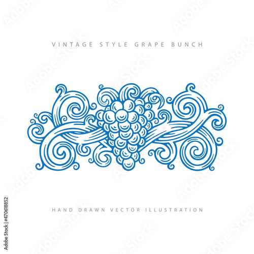 Grape and vine. Vintage engraving style grape and vine illustration. Grape hand drawn graphic. Part of set.