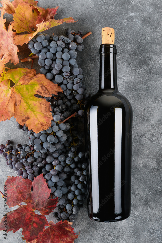 Red wine bottle with bunch of Primitivo grape fall grape's leaves on gray stone table, concept wine flat lay backgroud, vertical 