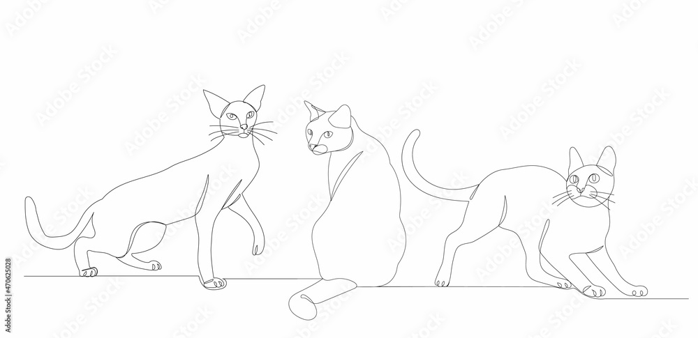cats drawing by one continuous line, vector cats drawing by one continuous line, vector