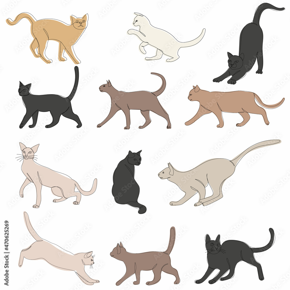 cat set sketch drawing, vector, isolated