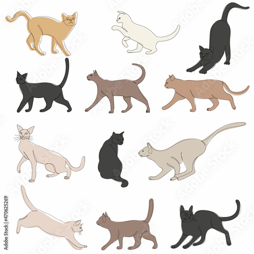 cat set sketch drawing  vector  isolated