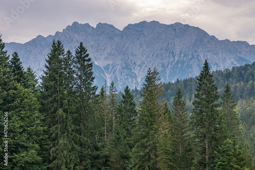 Die Berge von Südtirol / Blick ins Grüne