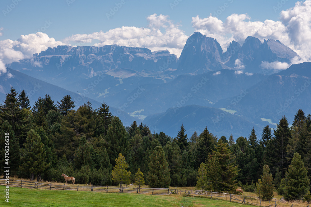 Die Berglandschaft von Südtirol