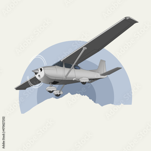 Airplane in flight