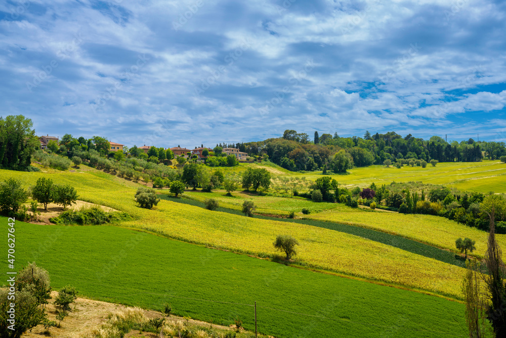 Obraz premium Rural landscape near Corinaldo, Marche, Italy