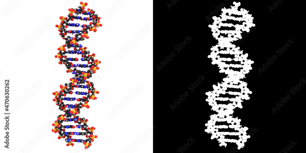 3D rendering illustration of DNA molecules - obrazy, fototapety, plakaty 