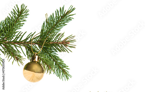 Christmas tree branch with New Year's decor ball on a white background