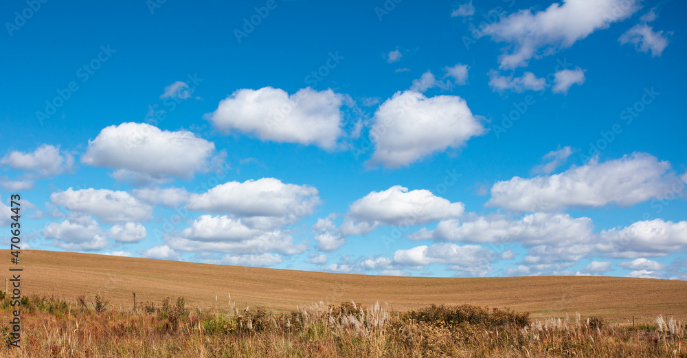 Obraz premium Rural landscape in southern Brazil.