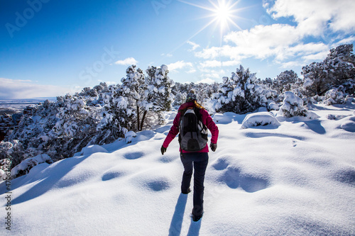 Girl in winter in Grand Canyon National Park, United States Of America