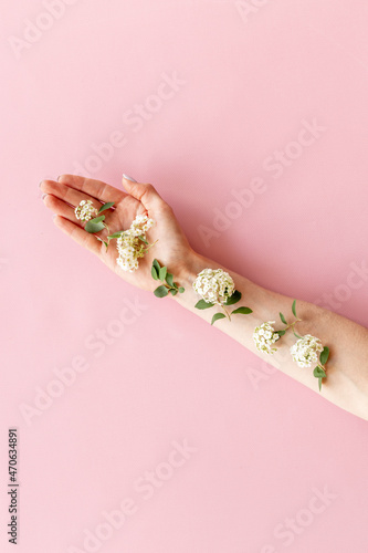 Female hand with white blossoms flowers. Beauty youth concept