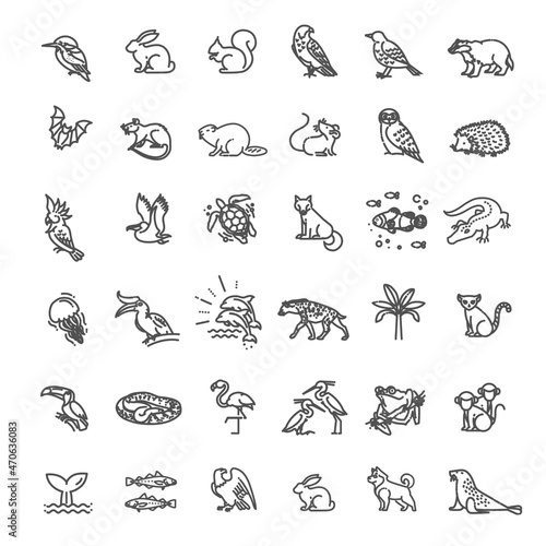 Animal icons. Vector outline icon set. Zoo Line animals concepts, Icons set